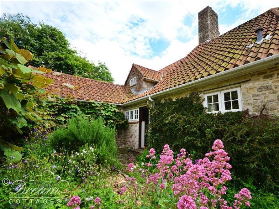 Sixpenny Cottage Upwey 外观 照片